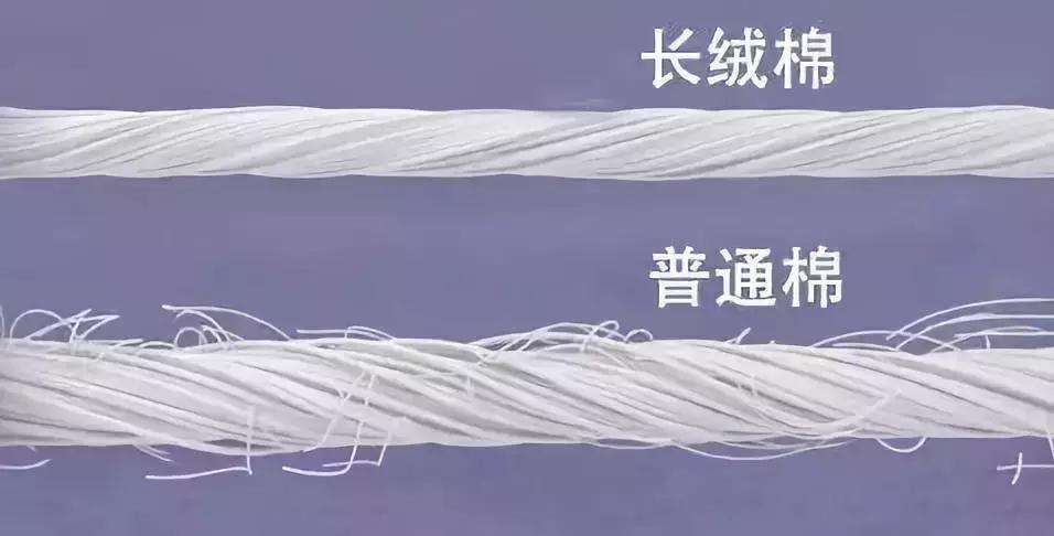 什么衬衫高级,高级衬衫什么特点