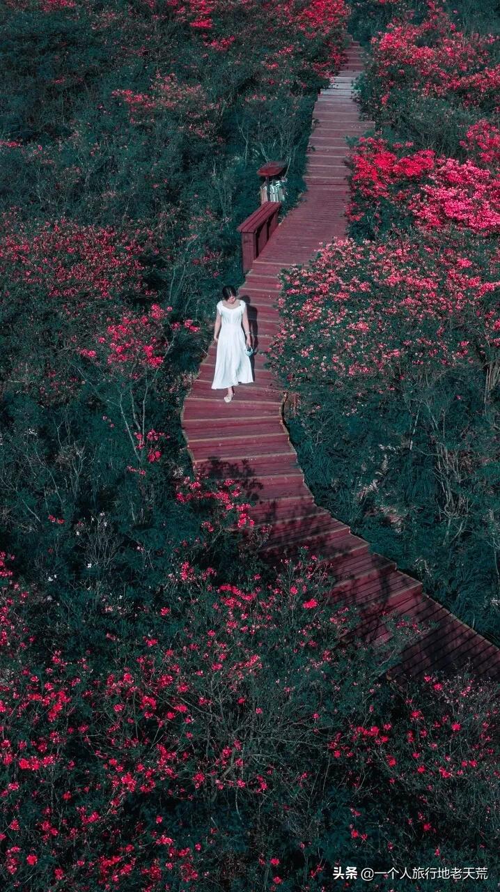 无需攻略,这12个绝美宝藏小城,随便挑一个小住几日,就很惬意