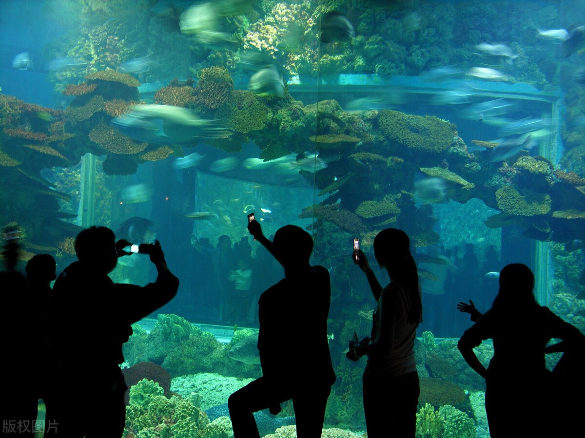 山东青岛旅游攻略最佳时间,山东青岛游玩路线攻略