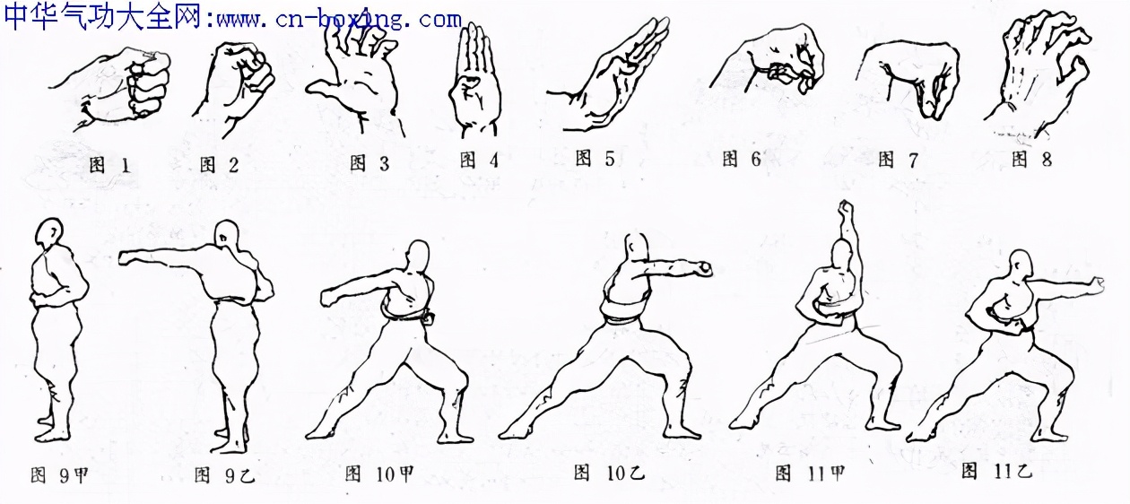少林拳基本套路教学,少林拳动作教学视频