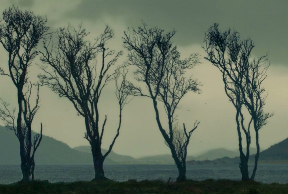 丹麦美女变性成雀斑,丹麦女孩的小雀斑