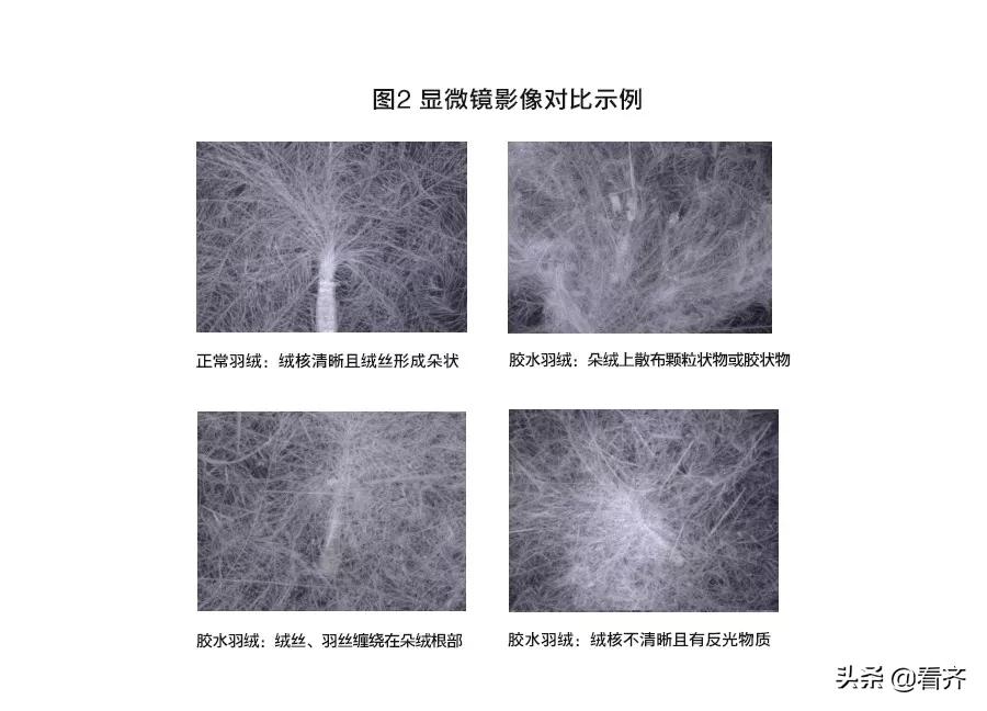「齐齐哈尔关注」1500多元一件的“狼爪”用胶水绒?多个大品牌检测都不合格