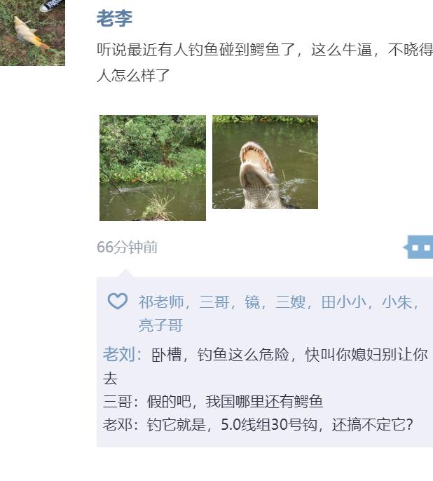 鳄鱼被放生有什么后果,广东一男子钓鱼钓到鳄鱼然后报警