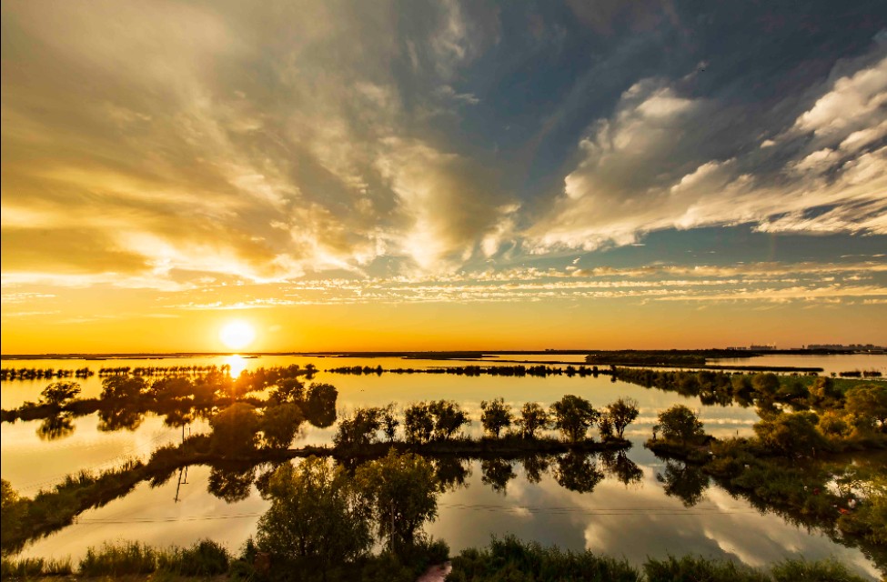 衡水湖有多美丽,七月衡水湖