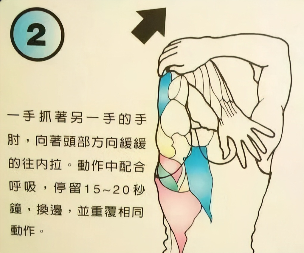 打羽毛球如何拉伸热身,打羽毛球前拉伸动作热身