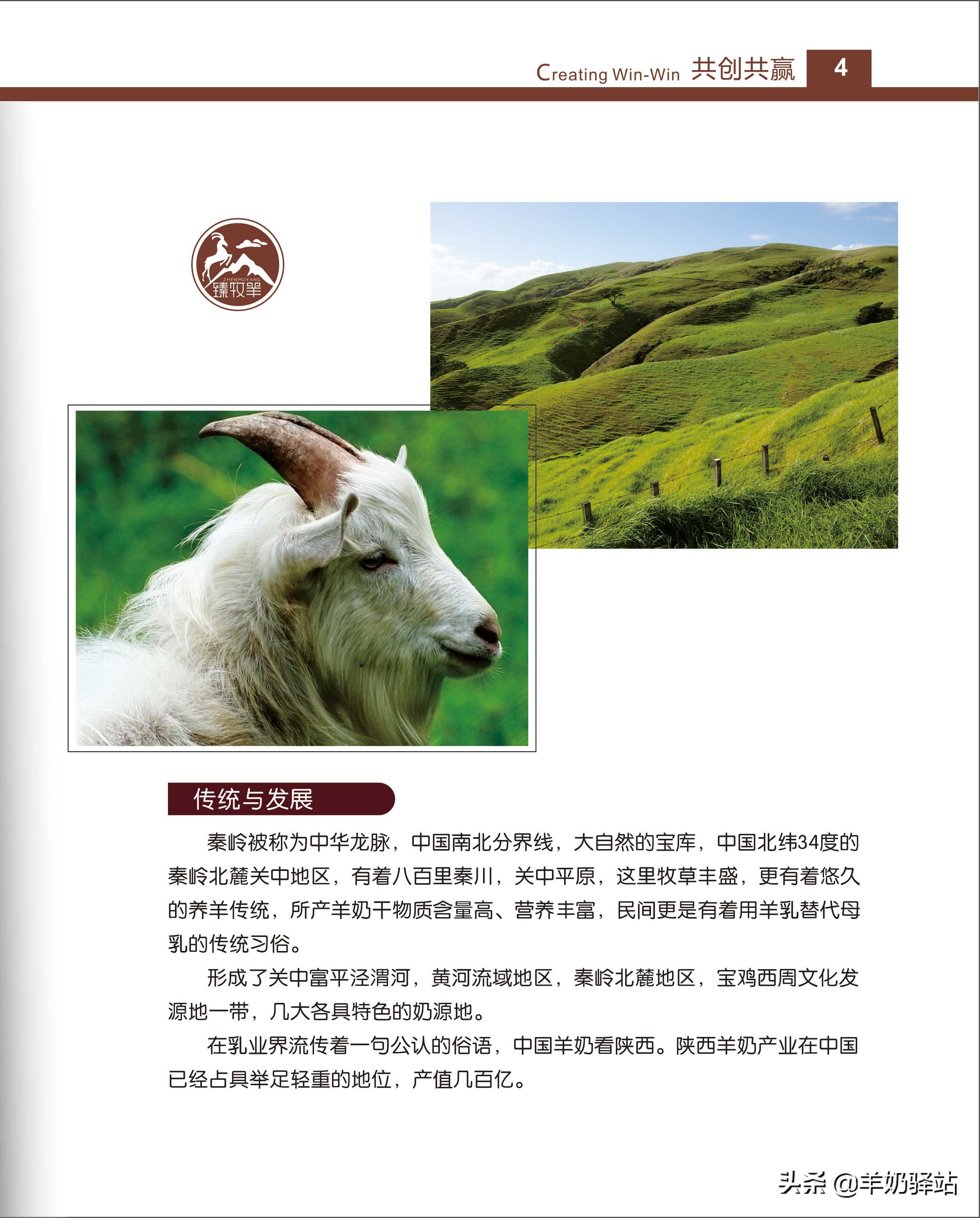 羊奶加盟招商模板,羊奶加盟哪个平台好