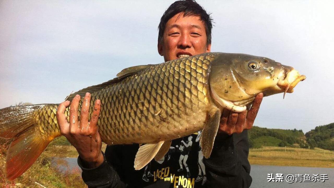 野钓看漂如何准确抓口,钓鱼怎么看浮漂抓口