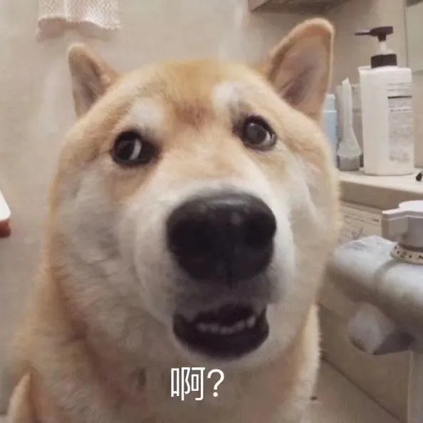 日本炸龟壳零食,炸龟壳