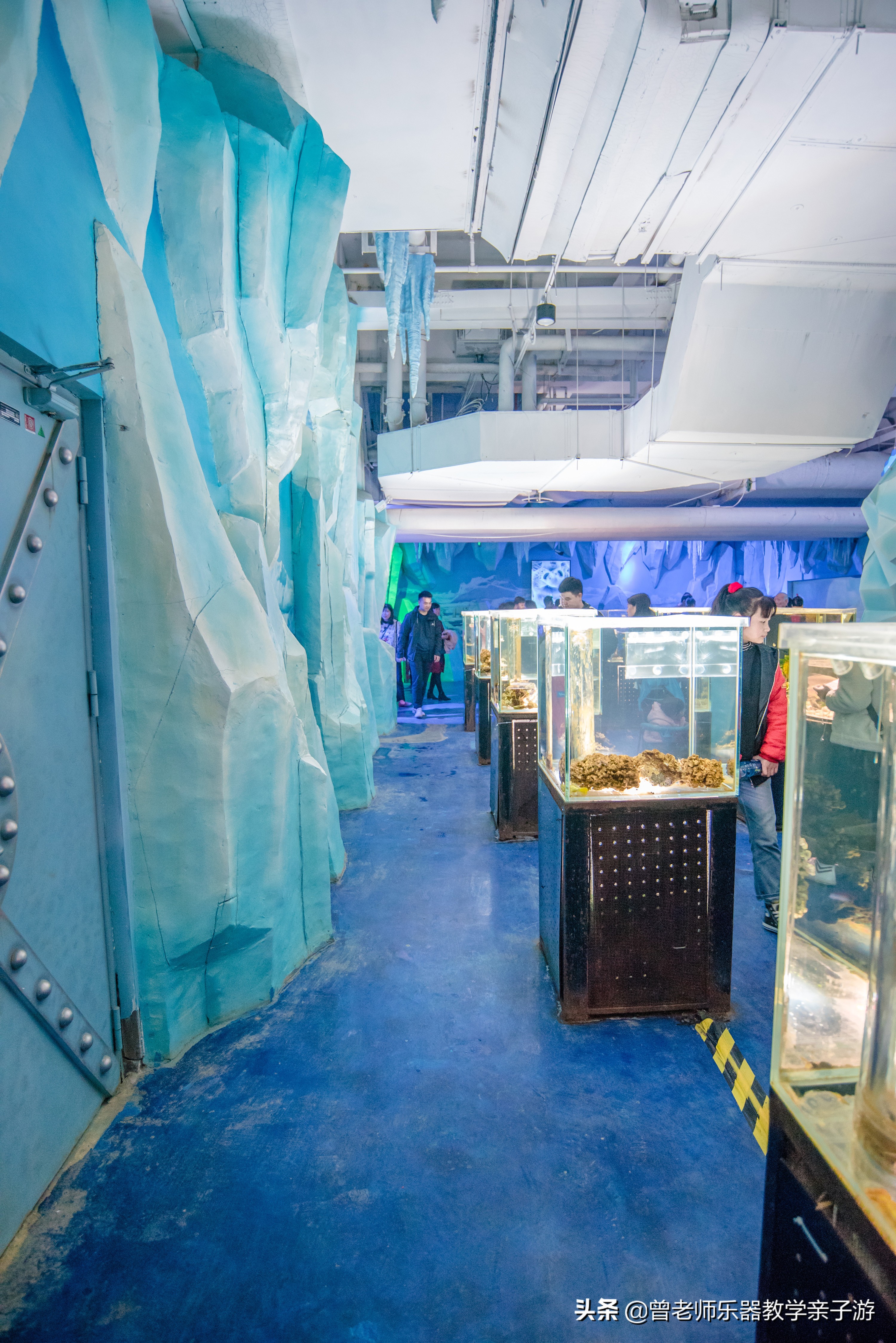 西安太奥海洋馆,西安极地海洋世界海豚表演