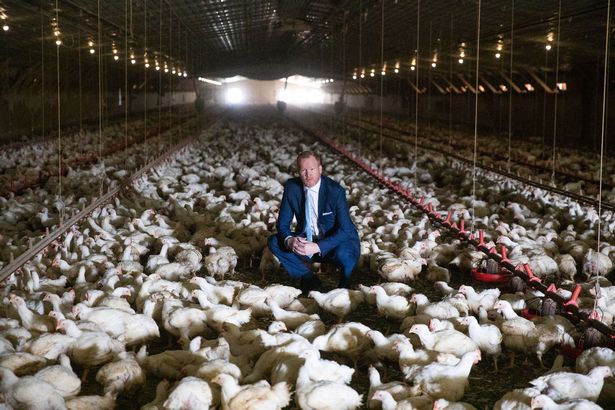 英国洗洁精洗鸡肉,英国洗衣液除螨除菌