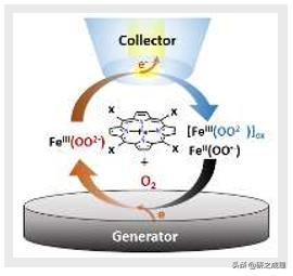 鍌寲鍛ㄦ姤,鍌寲蹇姤鏈熷垔