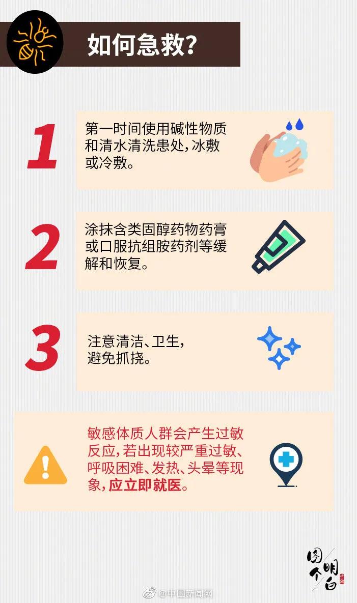 小心蚂蚁,小心红火蚁