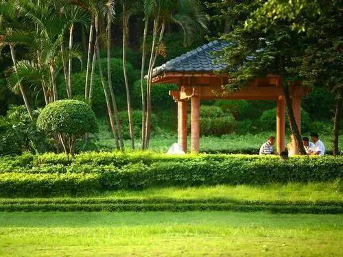 笑谈种树的艺术——看园林专业的魅力