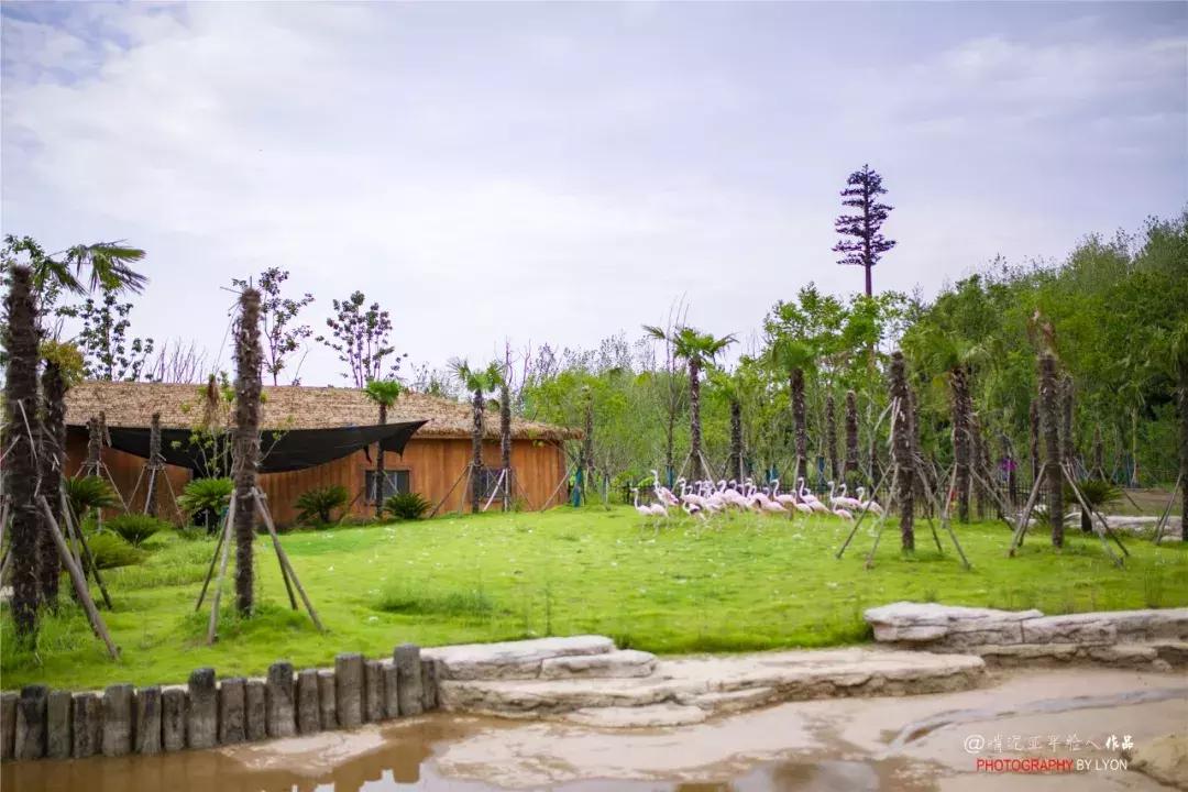 去南京金牛湖野生动物王国堵车吗,南京金牛湖野生动物王国最新活动