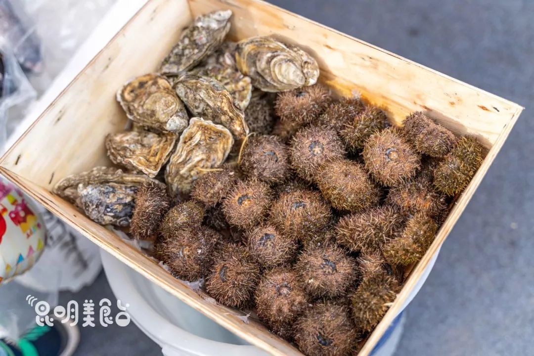 在昆明，第一次见200斤的大鱼，蘸着芥末生吃超爽