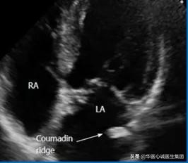 鍗庡尰蹇冭瘹鍖荤敓闆嗗洟鏈夐檺鍏徃,鍗庡尰蹇冭瘹鍖荤敓鐜扮姸