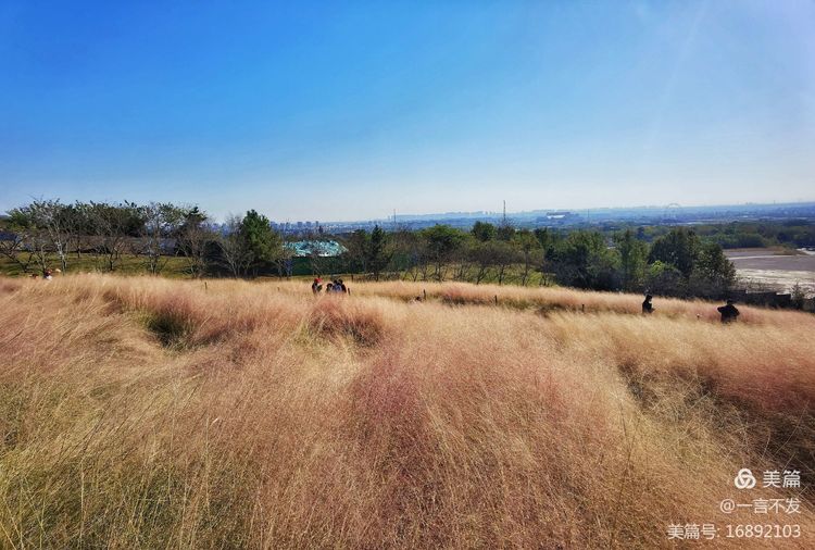 秋之旅免费完整版,秋之旅风景图片