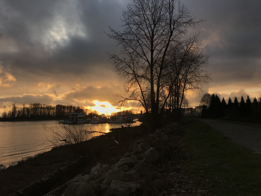 可以不爱但是不要做没有良心事情,面对自己不爱的工作