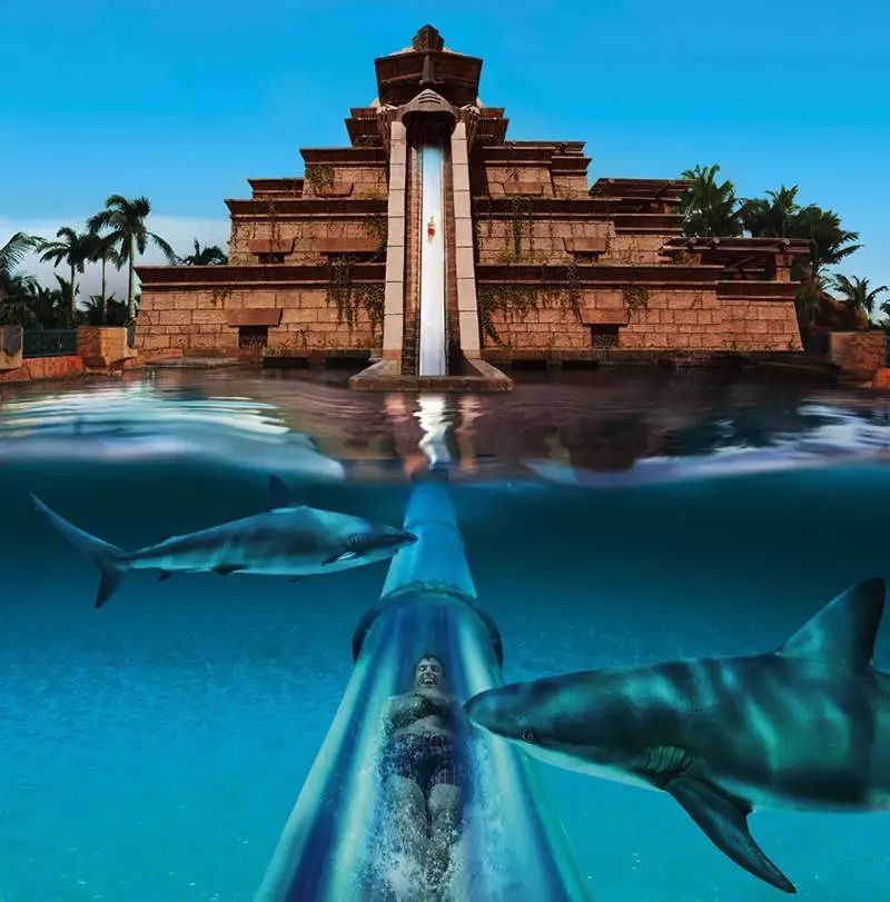 去迪拜最值得玩的地方,春节去迪拜可以下海