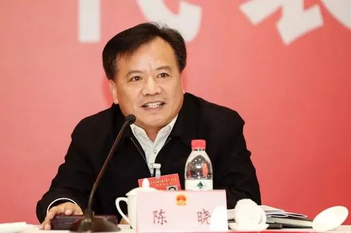 被纪委监委调查后主动投案,湖南两名局长先后主动投案