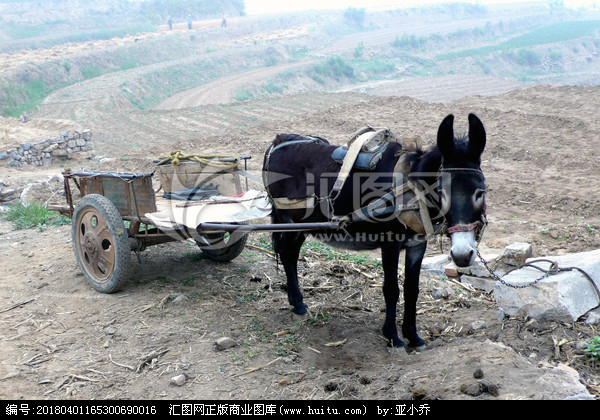 东北话四个大字怎么说,东北话名词和动词