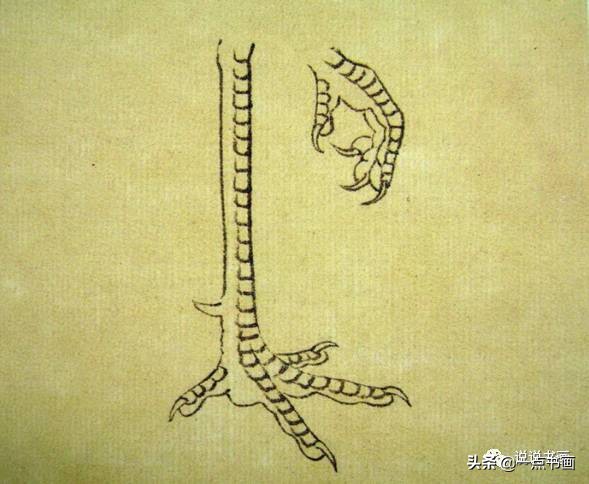 工笔国画孔雀画高清大图,工笔孔雀的画法步骤