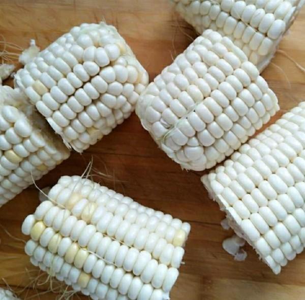 排骨怎么煮都发柴？最重要的一步都错了，难怪排骨又柴又没味