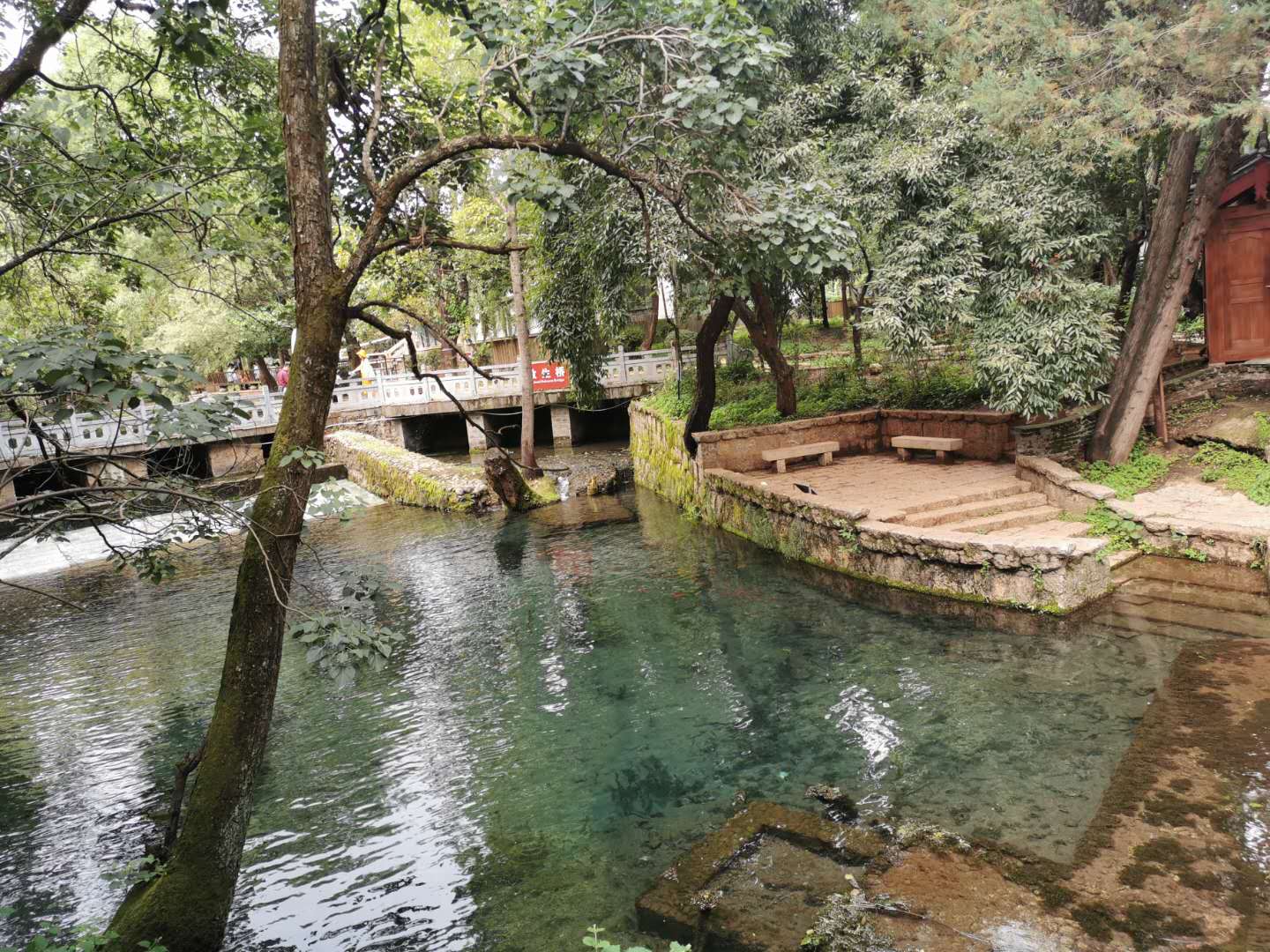 宅家又如何?翻开相册!浙大学子带你进行回忆式线上旅游!