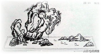 丛林式盆景欣赏,盆景欣赏及制作