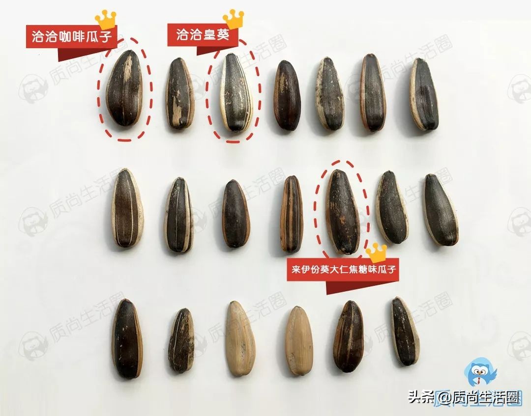 各种瓜子口味测评,20种口味瓜子