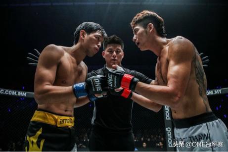 从足球到体坛全集,从足球到羽毛球的感悟