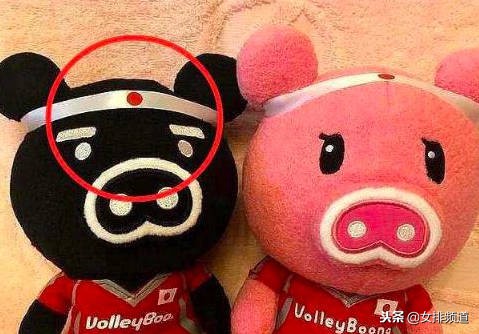 婷队细节见人品！世锦赛赢球后全队合影暖心一幕！