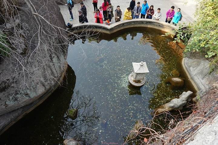 景区许愿池扔的硬币最后去哪了,游客投许愿池的钱都去了哪里