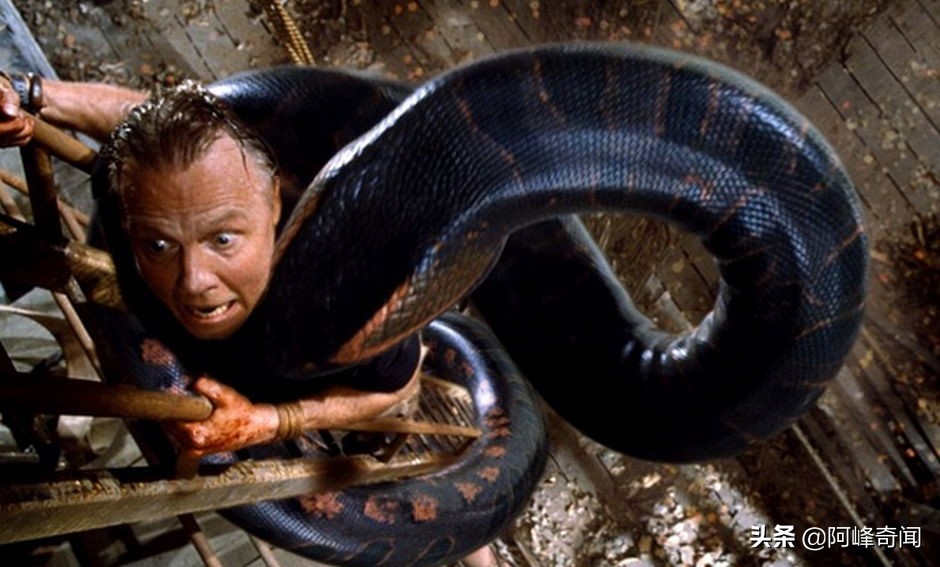 侏罗纪有巨蟒吗,侏罗纪世界最大巨蟒