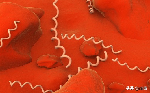 微生物中最好看的微生物,适合用来科普的微生物