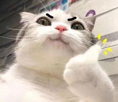 粉饼碎了不要扔，这样做马上又是新的一盒