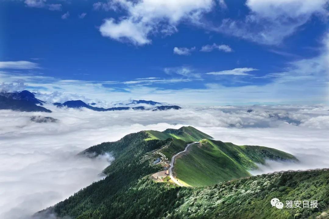 来雅安旅游,雅安二郎山休闲特色民宿