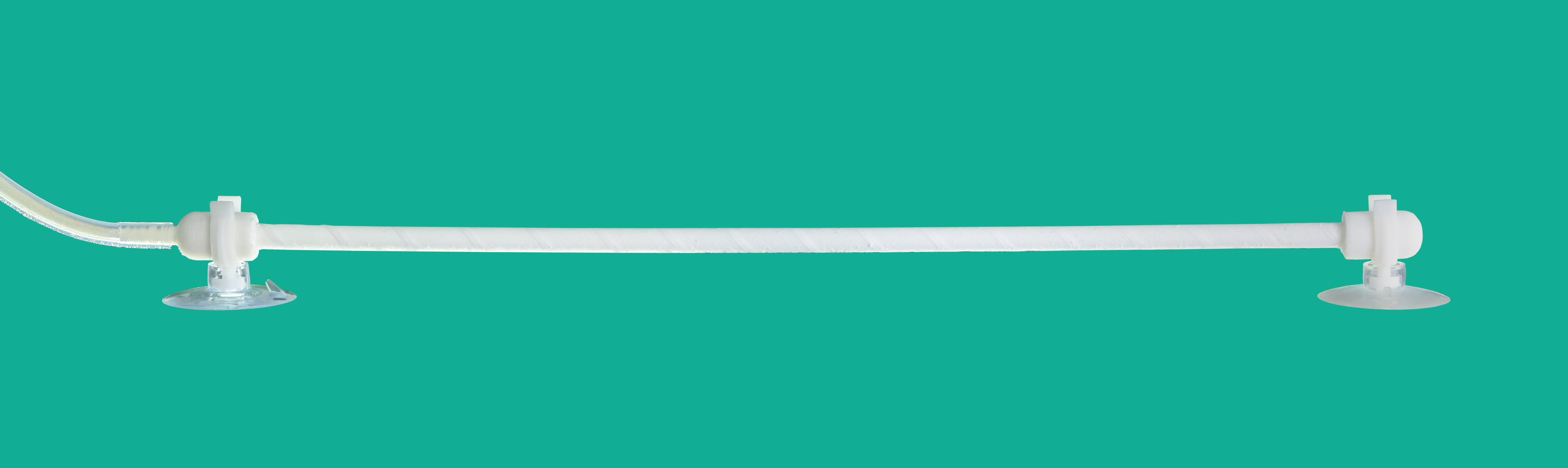 外面买的鱼为什么养不久,为什么你养的金鱼养不活