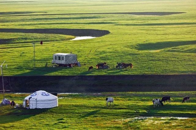 DNA和乳制品不兼容的蒙古人，怎么就成了克服乳糖不耐的关键？