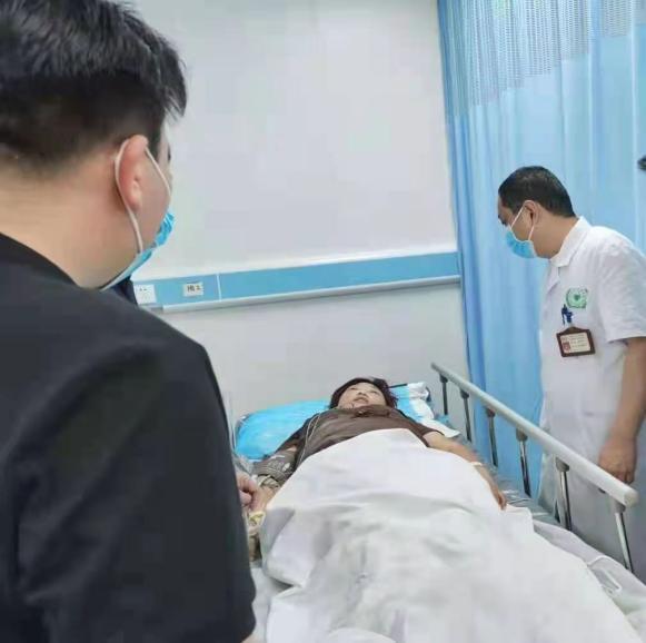 刺毛虫蛰了有多痛,刺蛾紫姬蜂与刺毛虫