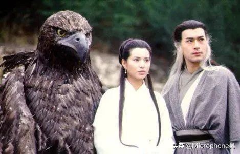 历史上真实的神雕,神雕真的存在