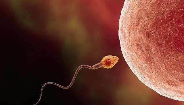 “小蝌蚪”在女性体内会产生什么样的变化，这5种变化有了解过嘛