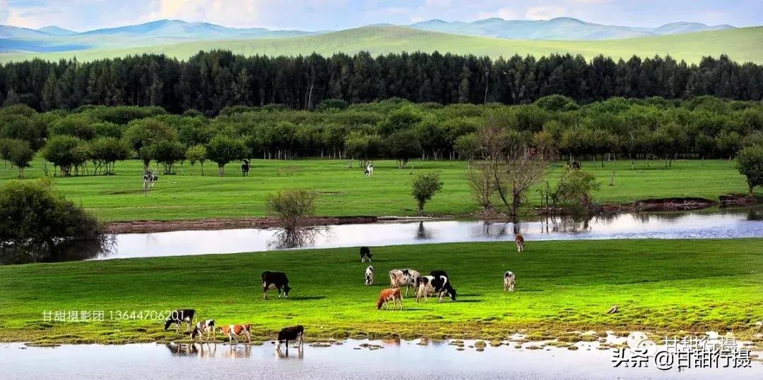 呼伦贝尔纯玩攻略,呼伦贝尔纯玩深度游