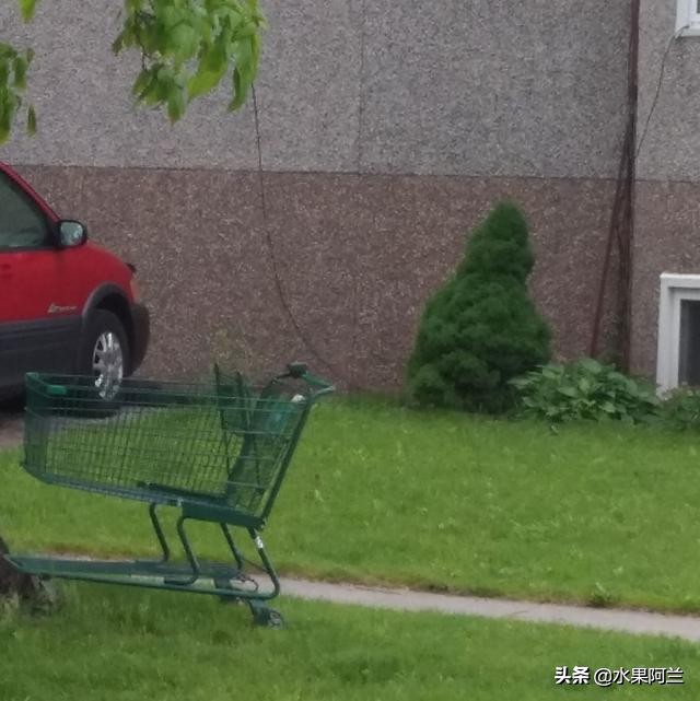 国际出行攻略,新西兰旅游攻略租车