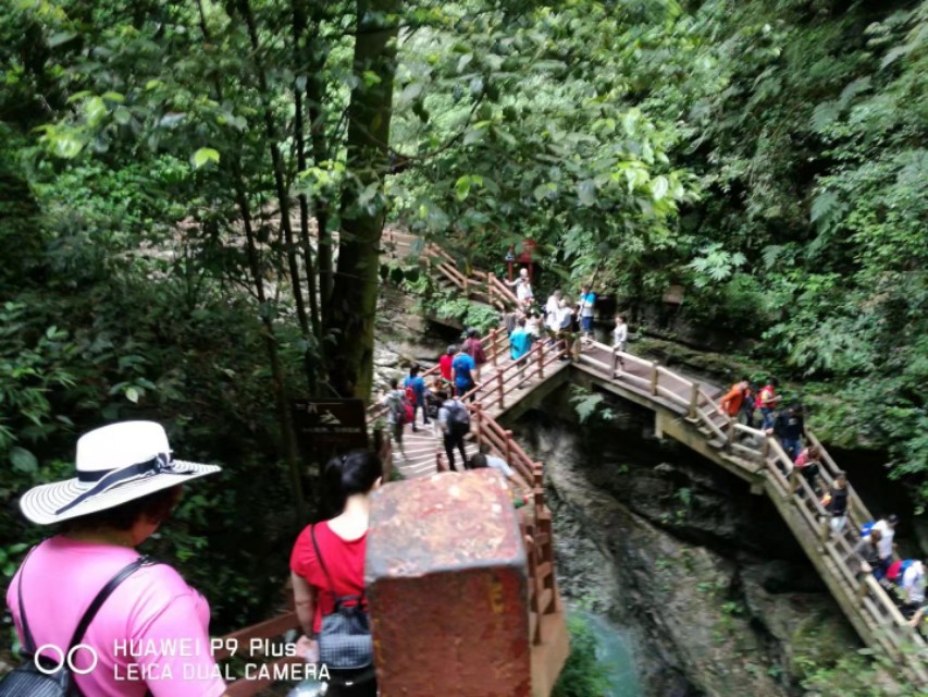 重庆黑山谷避暑适合吗,重庆避暑7天黑山谷