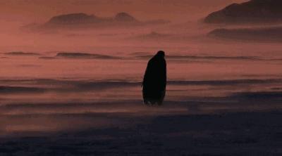 云川净水器官网,云川净水器测试