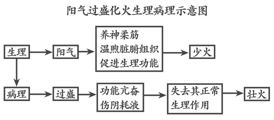 内火旺盛失眠怎么办,内火旺会导致严重失眠吃什么药