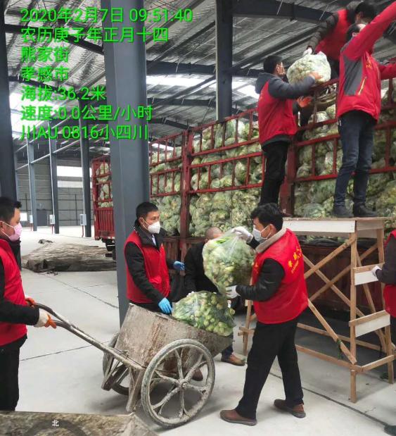 新冠肺炎抗疫中做的努力,抗疫再出征