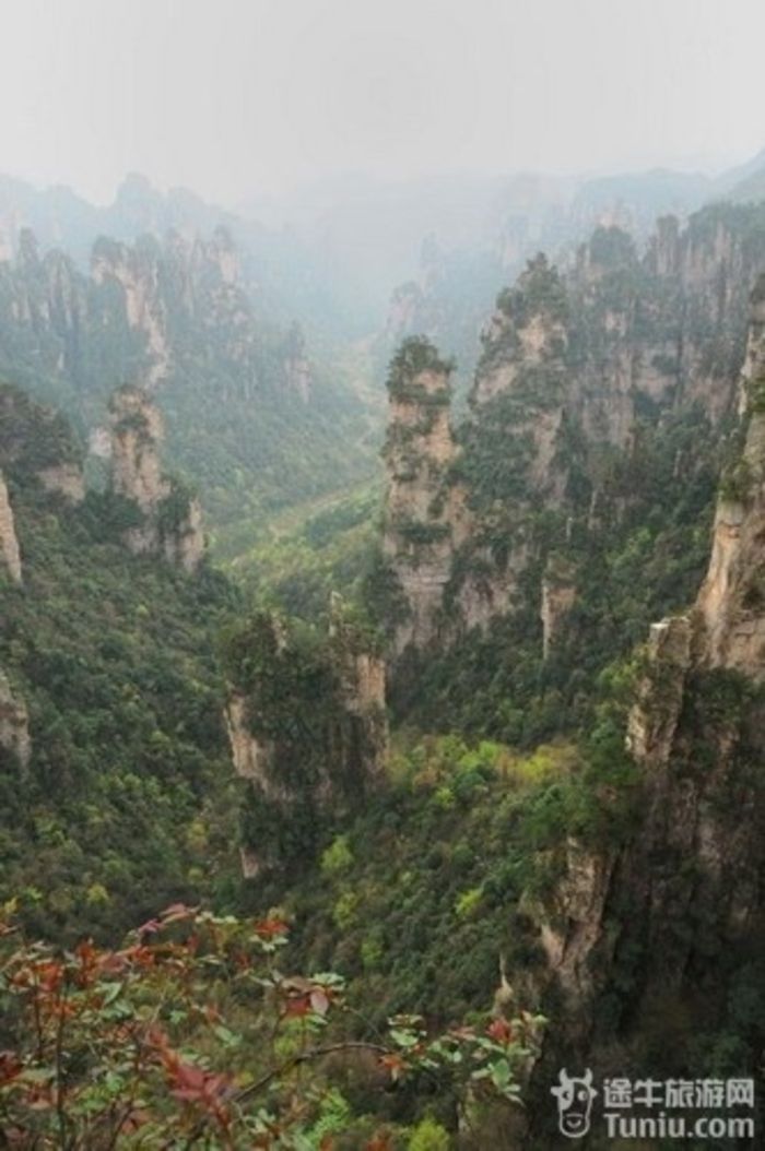 张家界凤凰六日游详细攻略,张家界凤凰6天游攻略