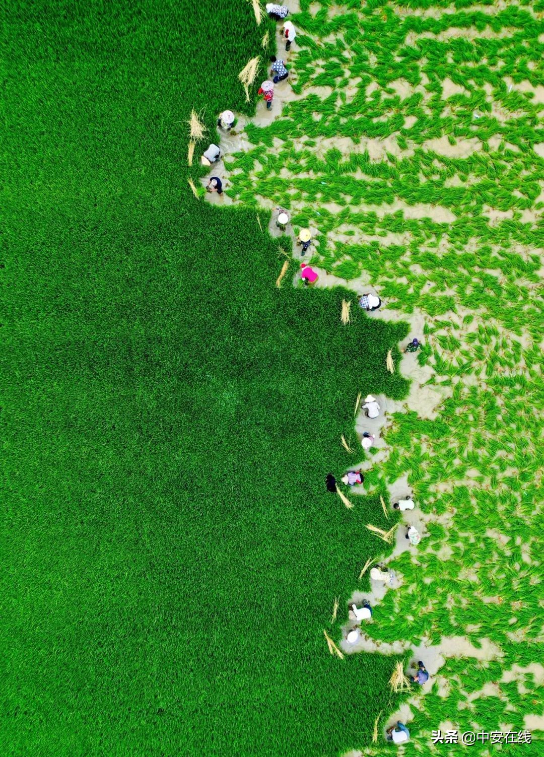 一鸣惊人宣城,一鸣惊人的最佳方法